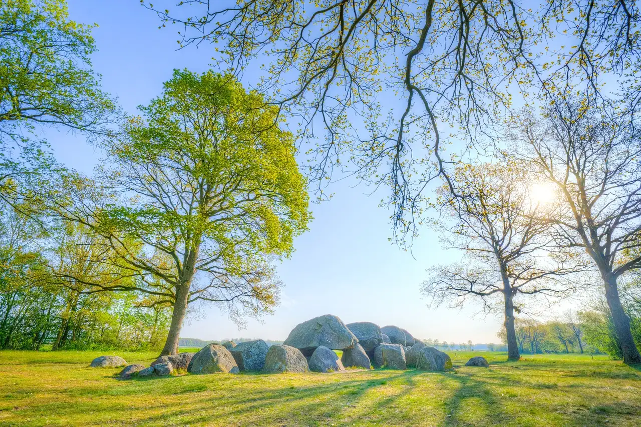 Wonen in Drenthe: de gids voor rust en ruimte