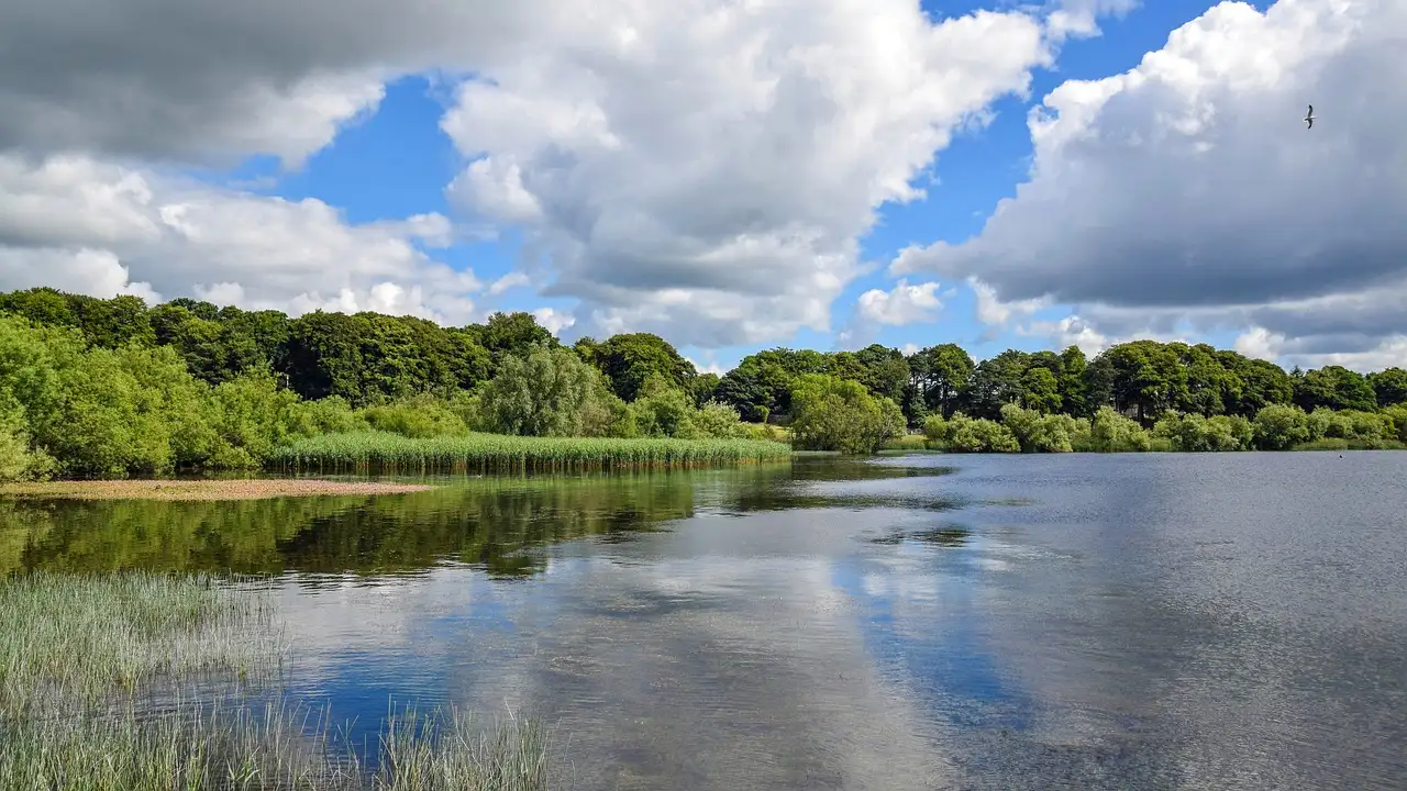 Harmonisch wonen