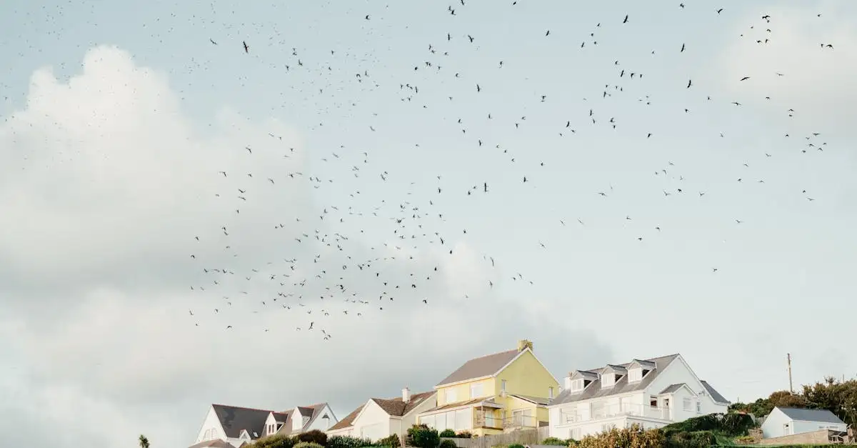 Inspiratie voor landelijk en sober wonen in Moordrecht