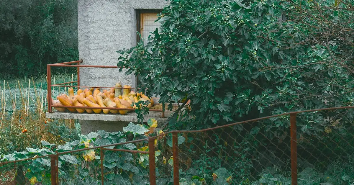Landelijk en sober wonen winkels
