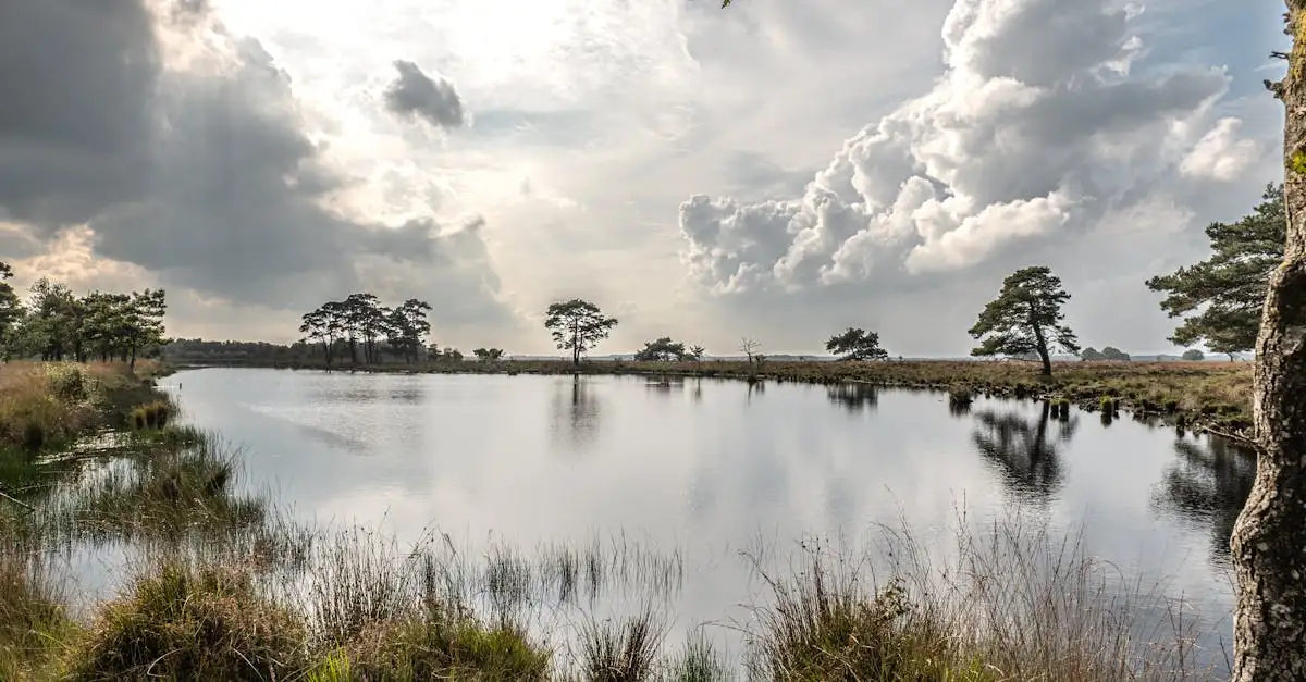 Landelijk wonen in Drenthe: Rust en ruimte vinden