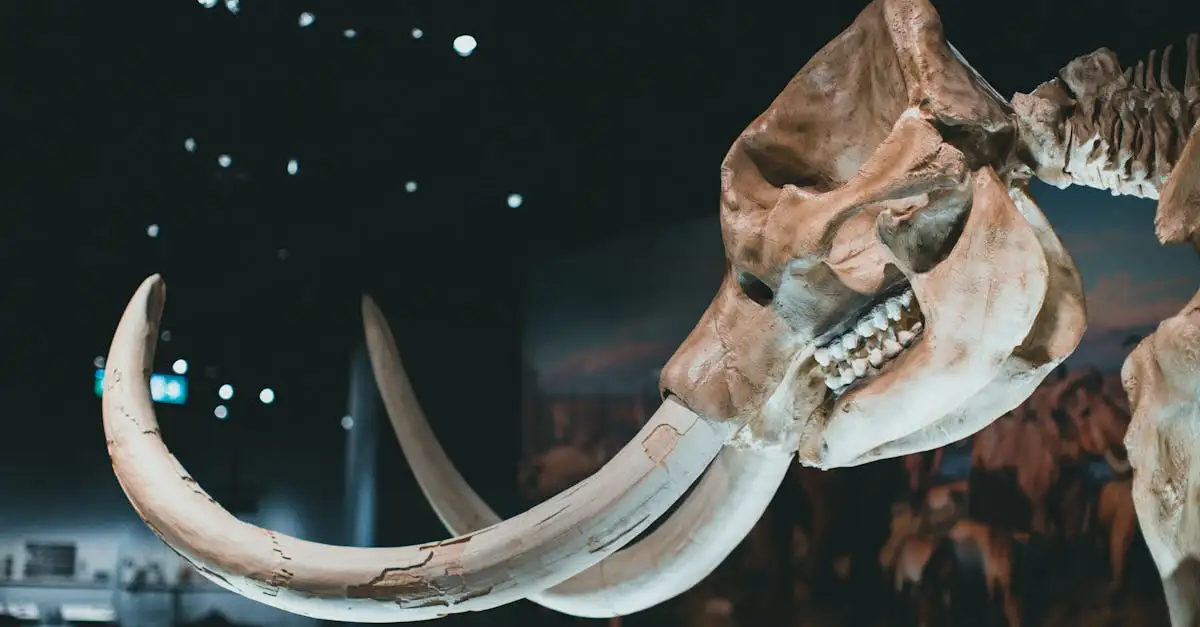 Mammoet wonen: Ontdek de prehistorische leefomgeving