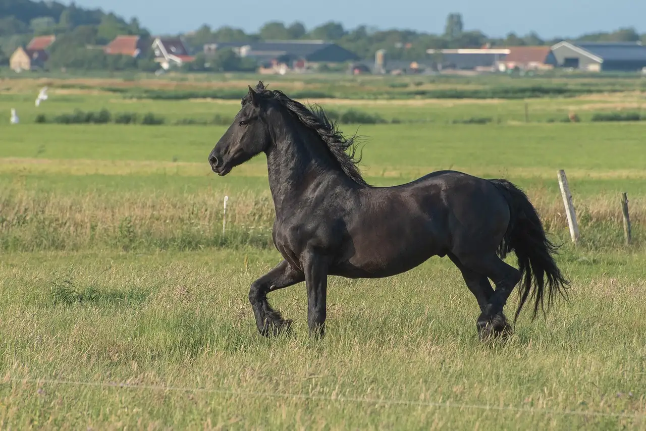Wonen op Terschelling: Ontdek de mogelijkheden
