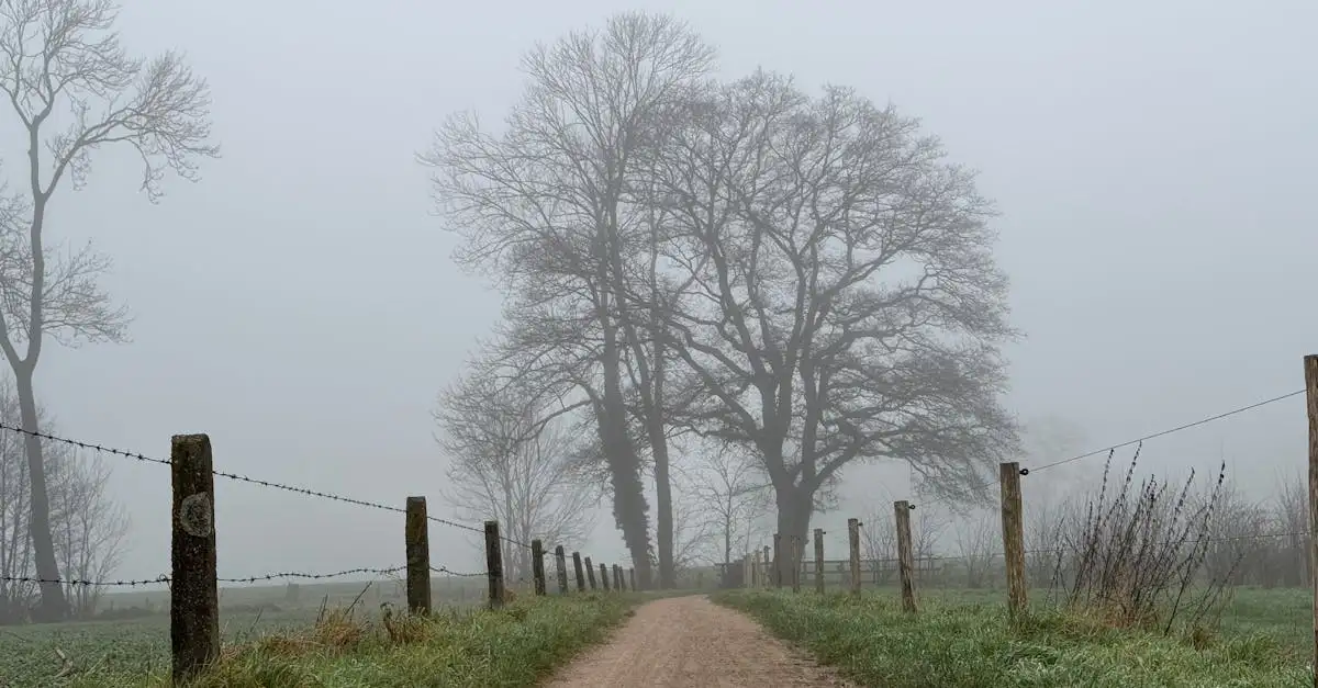 Ontdek het wonen in Twente: rust en ruimte