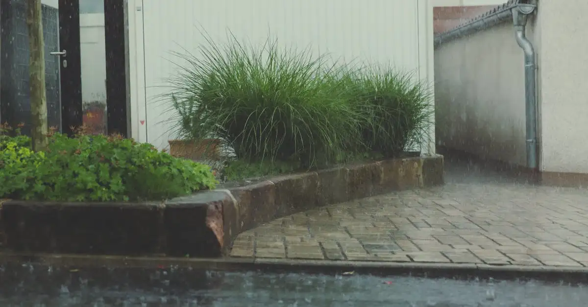 Water in de tuin: zo maak je je buitenleven levendiger met regenwater