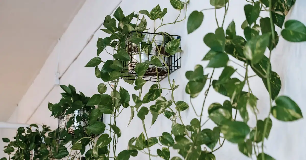 Wonen tijdschrift: Inspiratie voor uw interieur en tuin